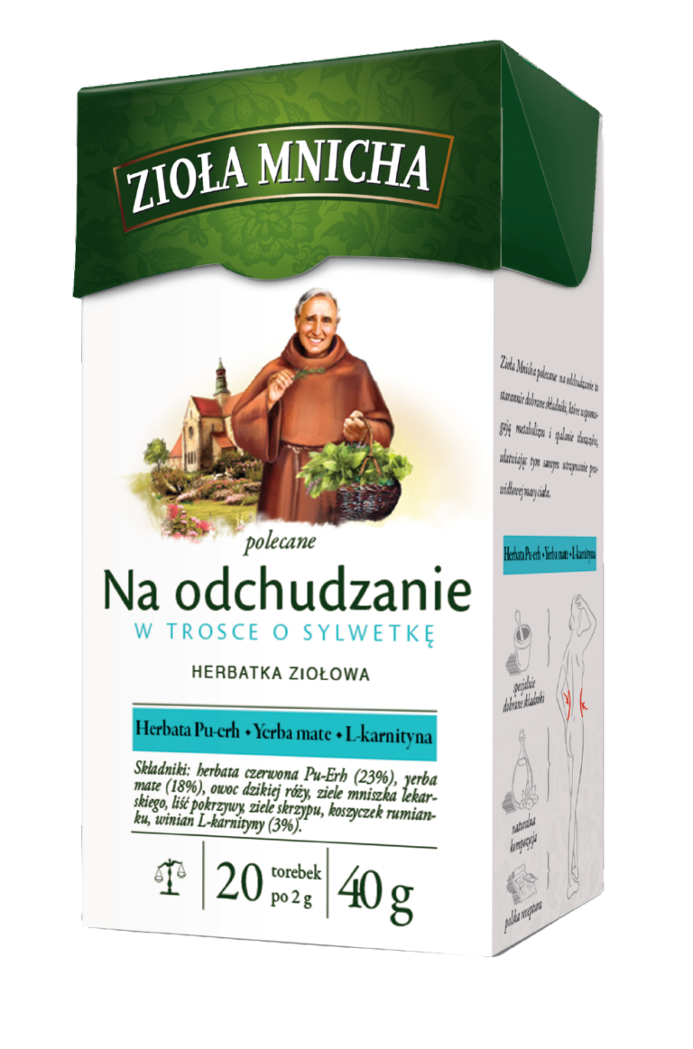 HERBAPOL BIG-ACTIVE ZIOLA MNICHA SLIMMING HERBAL TEA 20*2G