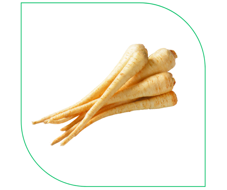 PARSLEY ROOT (KG)
