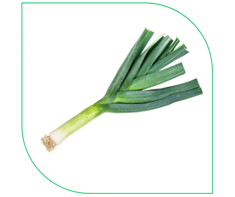 LEEK (PCS)