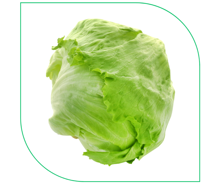 ICEBERG LETTUCE (PCS)