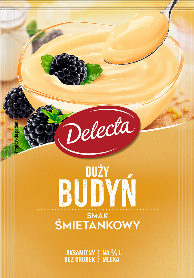 BUDYN DELECTA SMIETANKOWY 64G