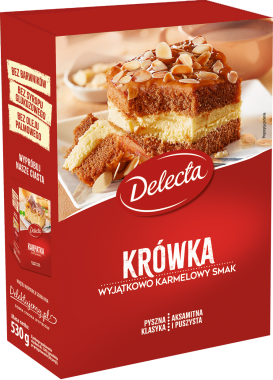 DELECTA FUDGE POWDERED CAKE 530G