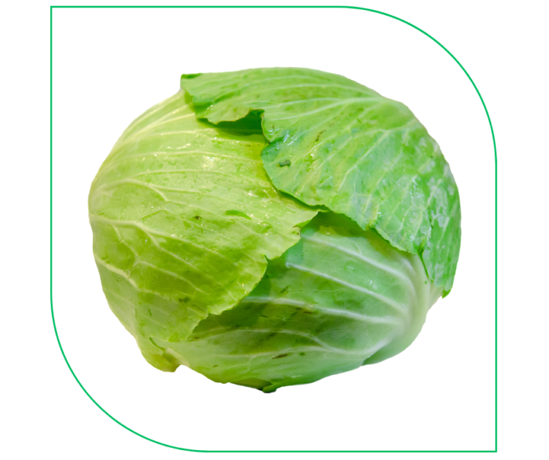 CABBAGE (PCS)